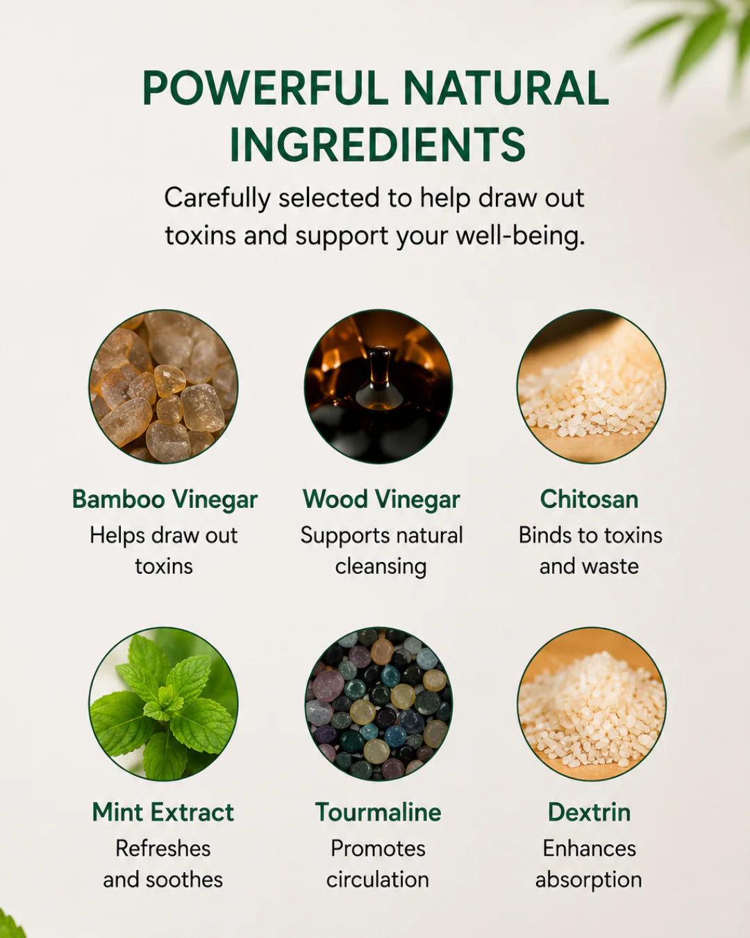 Goodlabs™ Detox Foot Patches | Restore Balance & Wellness